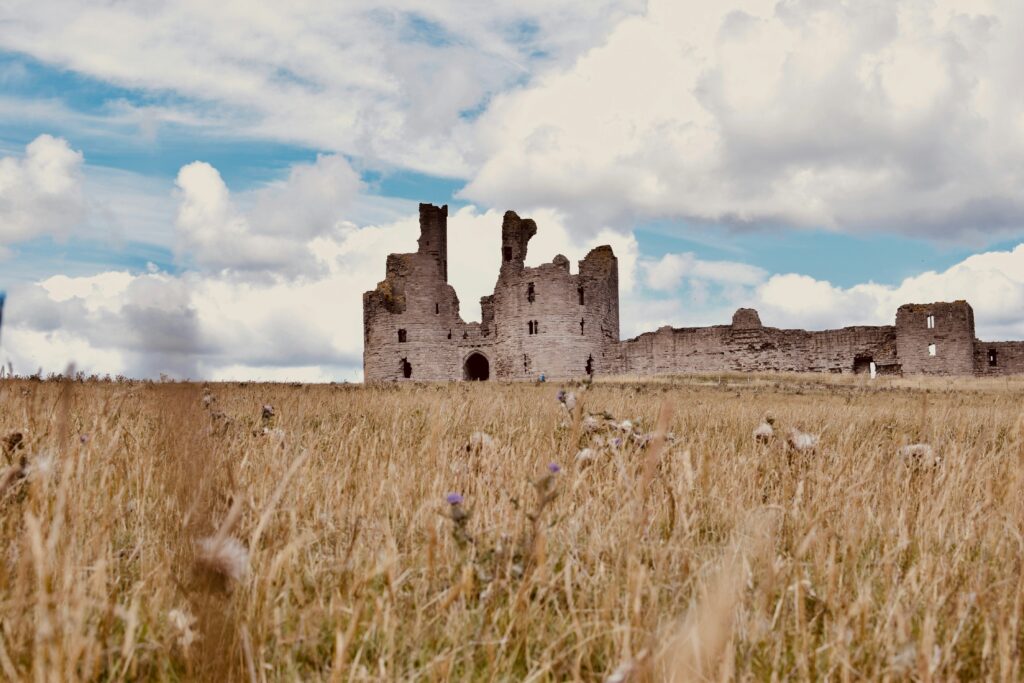 Distant Dunstanburgh Castle with sun parched grass