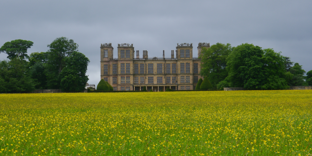 National Trust Hardwick Hall behind a field of yellow flowers